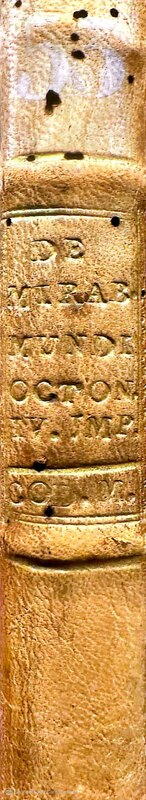 Spine of a 14th century Italian manuscript of the Otia Imperialia by Gervase of Tilbury. The words are highlighted in gold and written in Latin, and the spine itself is made out of leather or a similar material.