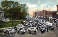 Cotton Bales on North Side Square
