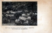 Cotton Season Scene on Public Square
