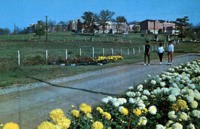 Alabama A &amp; M College