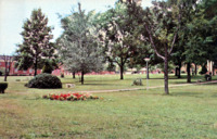 Oakwood College Summer Scene