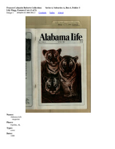 Lily Flagg, Famous Cow (1 of 2)