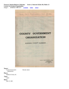 County Government Organization