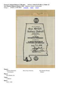 New Market Historic District, 1991