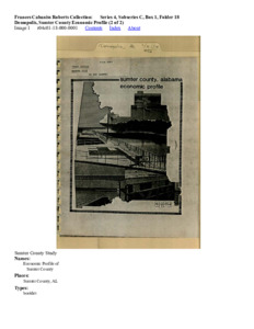 Demopolis, Sumter County Economic Profile (2 of 2)