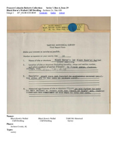 Black Horse's Walled Cliff Dwelling