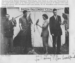 First game fair British Falconer Club, 1958