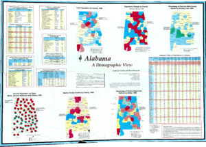 Alabama A Demographic View Center for Urban and Rural Research