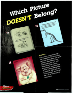 "Which picture doesn't belong?; You're right. The sexist pig is still alive. If you find yourself in its path, squeal all the way up the chain of command."