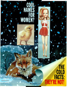 "Cool Names For Women?; The Cold Facts: They're Not"