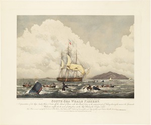South Sea Whale Fishery