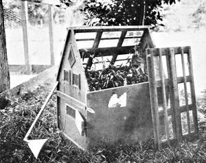 Photo of a Wardian case filled with orange trees and a elbowed funnel next to it.
