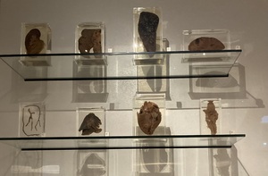 Science Museum Organs Exhibit