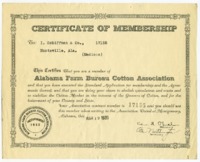 Certificate of membership in the Alabama Farm Bureau Cotton Association.
