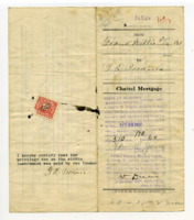 Frank Williams' chattel mortgage paperwork, seed receipts, checks, payments, and debts.