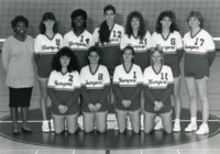 UAH volleyball team.