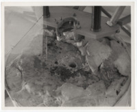 Photo of lunar material.