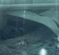 Scorpion Demonstrations St. Denis Du Sig.