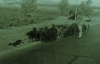 Staging Area &amp; Road to Oran.