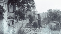 Photograph of two people searching through a damaged building.