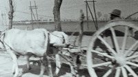 Photograph of man in Italy driving a cart.