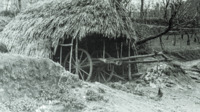 Photograph of a cart in a stick shed.