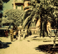 Scene from a park in Italy.