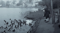 Women feeding ducks and swans at the Serpentine, Hyde Park, in London, England.