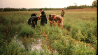 Photograph of men laying explosives to set up drainage for Burwell Farm.