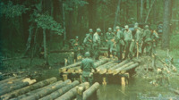 Soldiers building a log bridge at a National Guard camp.