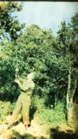 Unidentified master sergeant under orange trees at a National Guard camp.